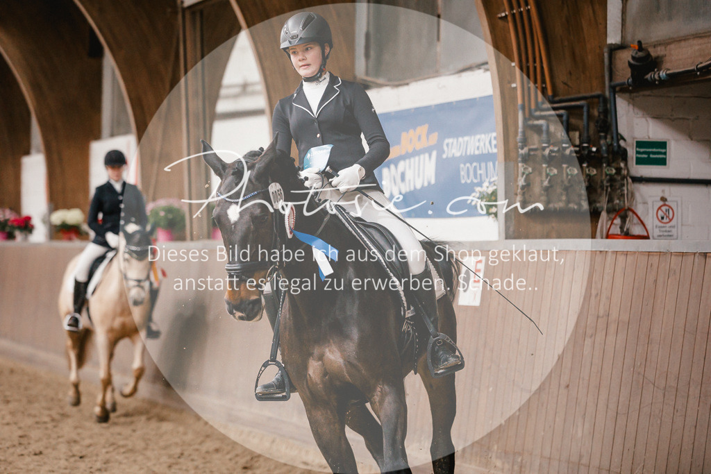 3I6A8025 | Stimmungsvolle Portraits und Reitsportfotografie im Ruhrgebiet und im Münsterland.

Pferdefotografie, Hundefotografie, Tierfotografie, Reportagen, Portraits von Tier und Mensch, Turnierfotografie in Bochum, Recklinghausen, Marl, Haltern am See, Dülmen.. - Realisiert mit Pictrs.com