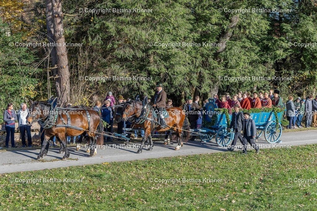 LBT25-226 | foto-bettina-krinner - Realisiert mit Pictrs.com