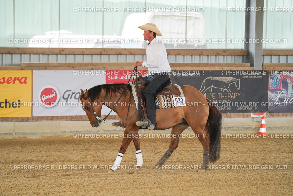 DSC06926 | Pferdegrafie