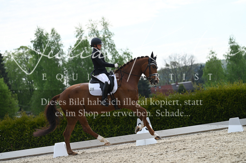 20230512_JK-Röhrsdorf-02-320 | Pferde- und Turnierfotografie in Westsachsen. Pferdeportraits, Auftragszeichnungen und intuitive Kunst.