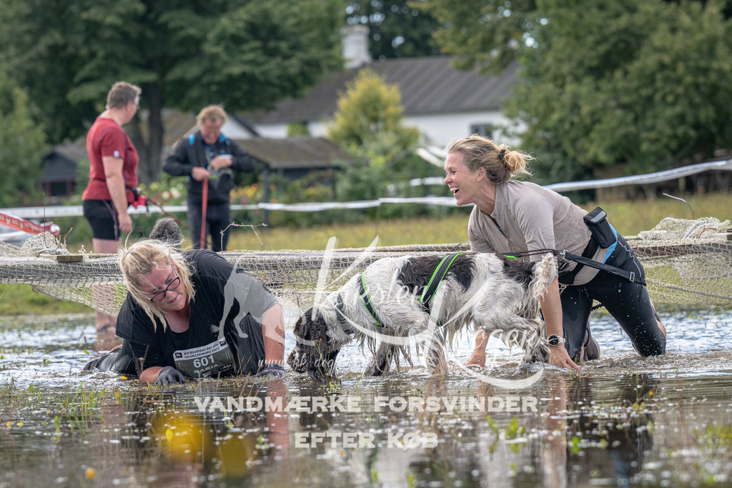 1308_ZZ90412 | kk-dogfotos