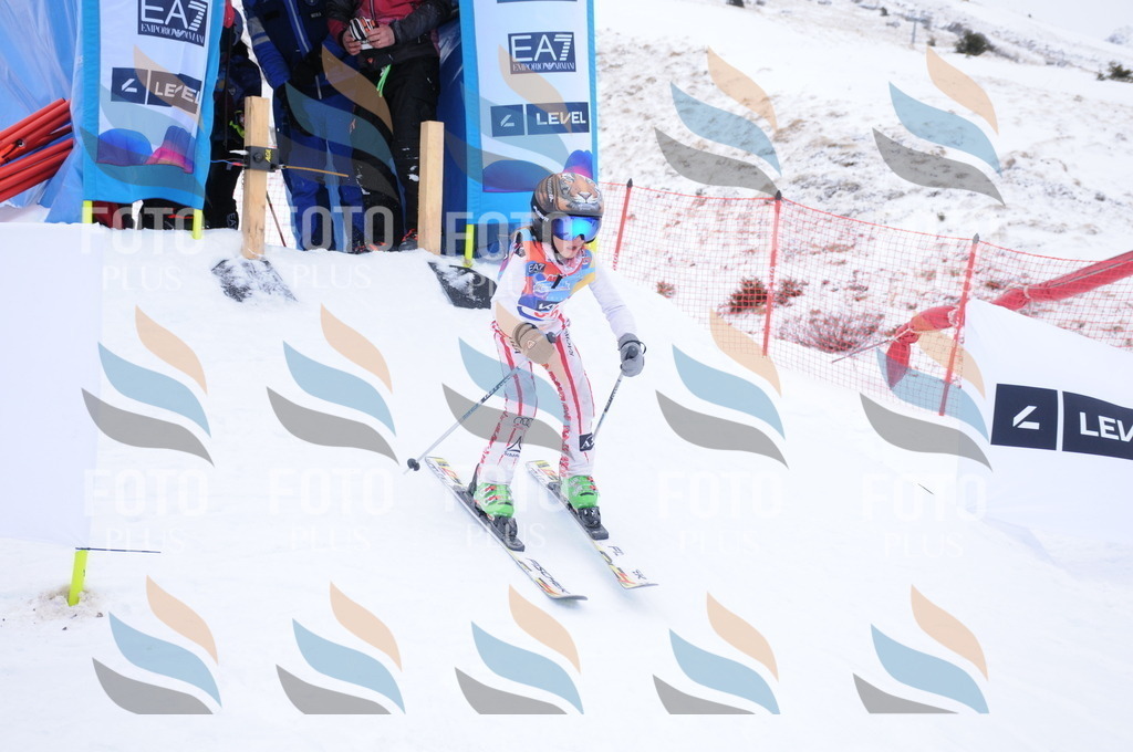 DSC_7954 | holidayphoto