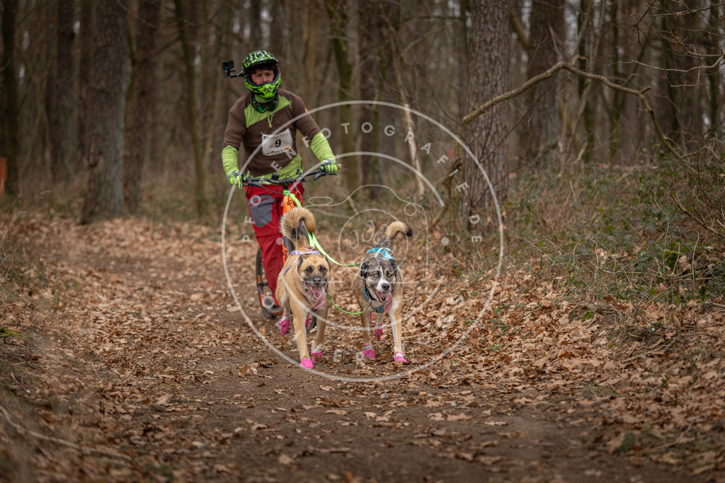 Pfotenfotografie_DV3A6703 | Hundefotografie, Tierfotograf, Pfotenfotografie, Fotoshooting Hund, Hunde Portrait, Hundesport, Hundeportraits, Heideshooting, Hunde, Sportfotograf, Hundefotograf, Turnierhundsport, THS,  - Realisiert mit Pictrs.com
