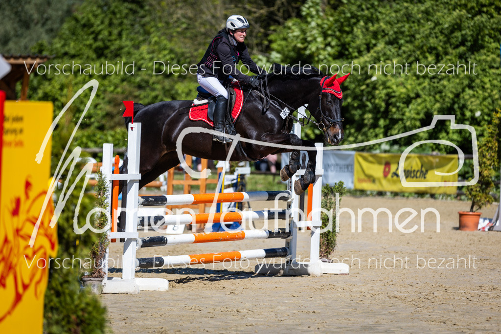 Donop24-A2Spr-138 | MomenTaufnahmen Pferdesportfotos