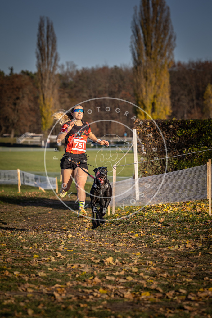 CaniXpix_DV3A2439 | Hundefotografie, Tierfotograf, Pfotenfotografie, Fotoshooting Hund, Hunde Portrait, Hundesport, Hundeportraits, Heideshooting, Hunde, Sportfotograf, Hundefotograf, Turnierhundsport, THS,  - Realisiert mit Pictrs.com
