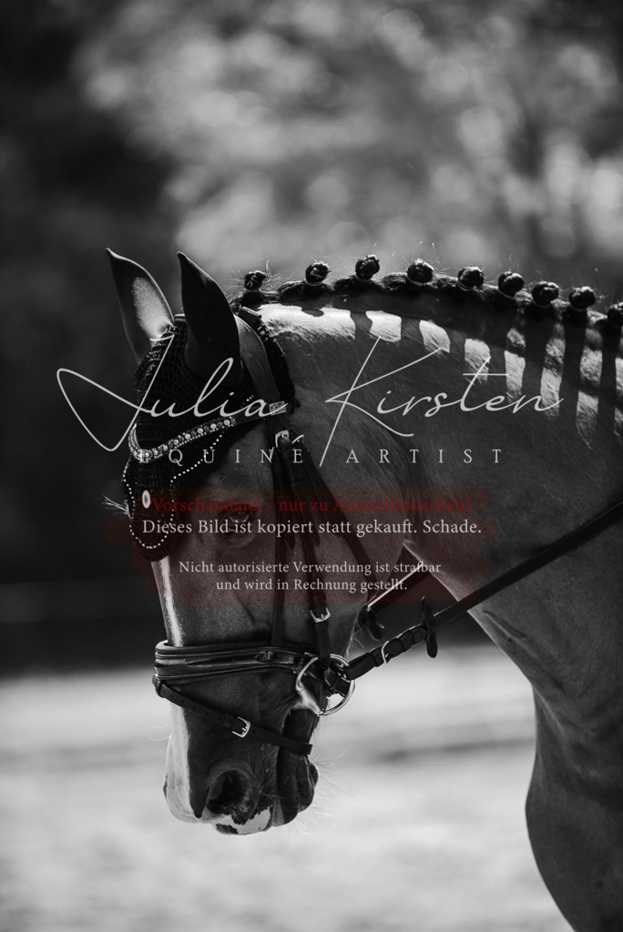 DSC_0913 | Pferde- und Turnierfotografie in Westsachsen. Pferdeportraits, Auftragszeichnungen und intuitive Kunst.