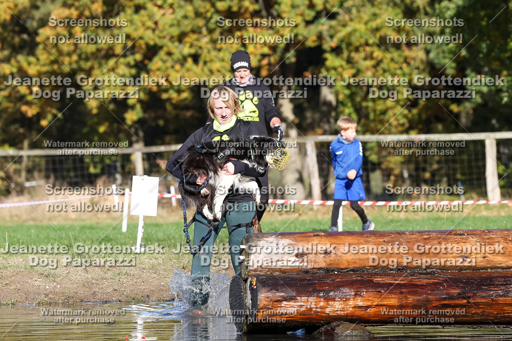 Dog Paparazzi - Strongdog 10-25-8858 | Dog Paparazzi Jeanette Grottendiek Fotografie & Videografie - Realisiert mit Pictrs.com