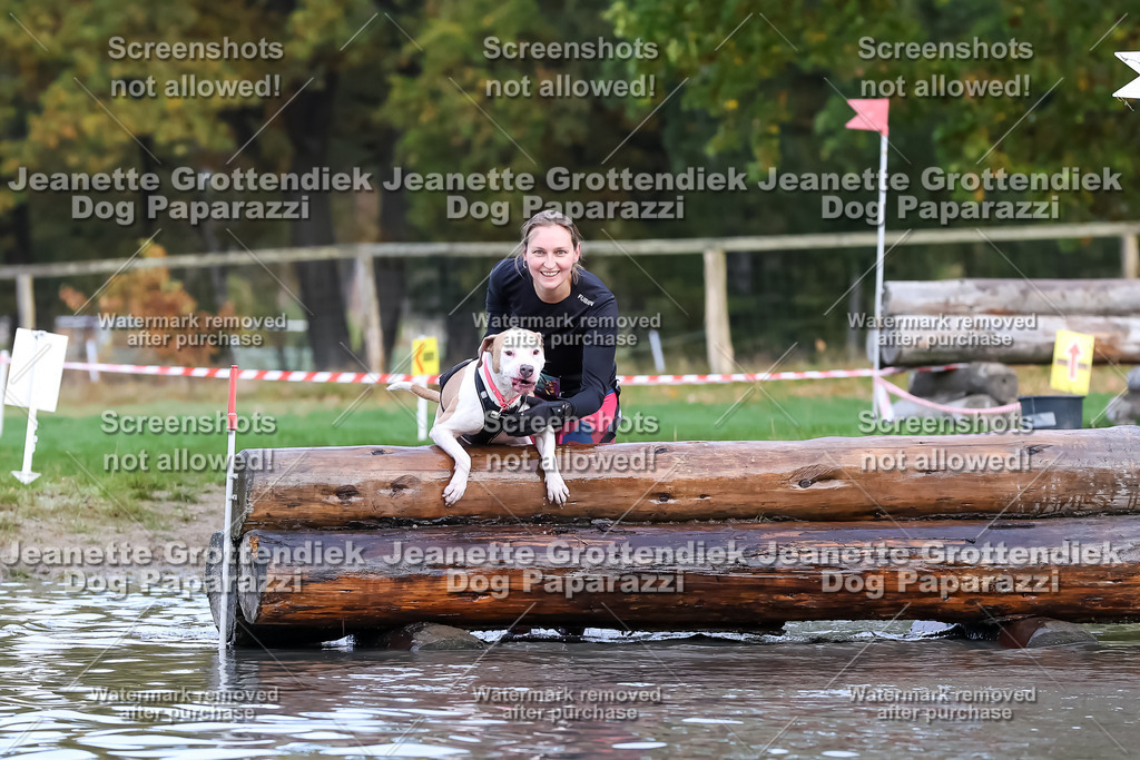 Dog Paparazzi - Strongdog 10-25-6720 | Dog Paparazzi Jeanette Grottendiek Fotografie & Videografie - Realisiert mit Pictrs.com