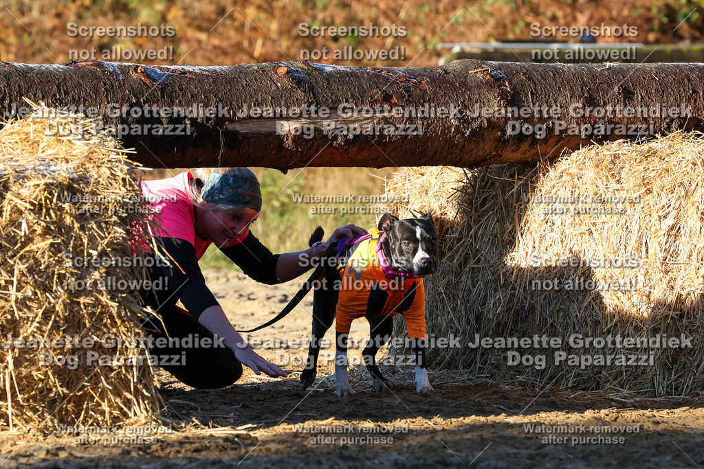 Dog Paparazzi - Strongdog 10-25-852 | Dog Paparazzi Jeanette Grottendiek Fotografie & Videografie - Realisiert mit Pictrs.com