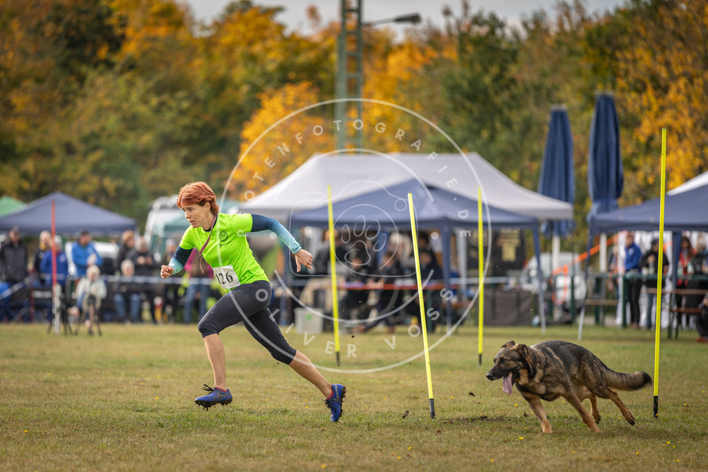 Pfotenfotografie_DV3A6999 | Hundefotografie, Tierfotograf, Pfotenfotografie, Fotoshooting Hund, Hunde Portrait, Hundesport, Hundeportraits, Heideshooting, Hunde, Sportfotograf, Hundefotograf, Turnierhundsport, THS,  - Realisiert mit Pictrs.com