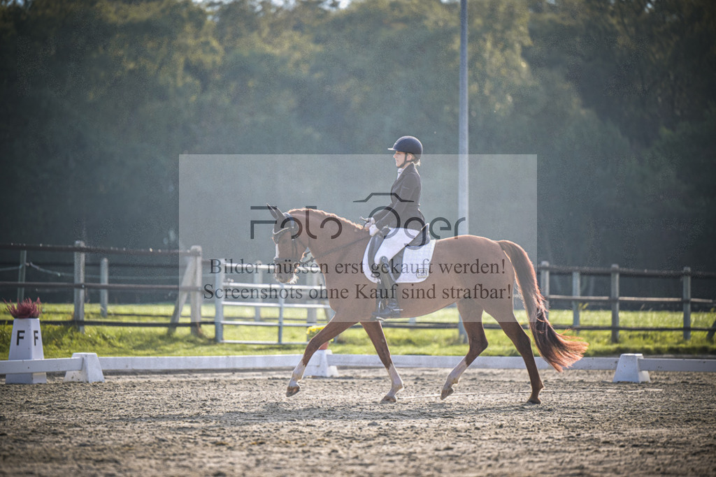 DOS_3477 | Entdecke hochwertige Reitturnierfotos von Foto Oger. Professionell, emotional und authentisch – jetzt Lieblingsmomente im Shop bestellen.Deutschlandweite Turnierfotografie. - Realisiert mit Pictrs.com