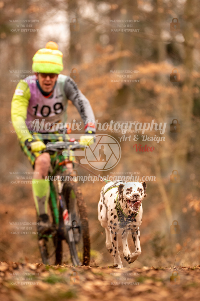 AKM_ST_2023_SAM_Bike-124 | PayLife