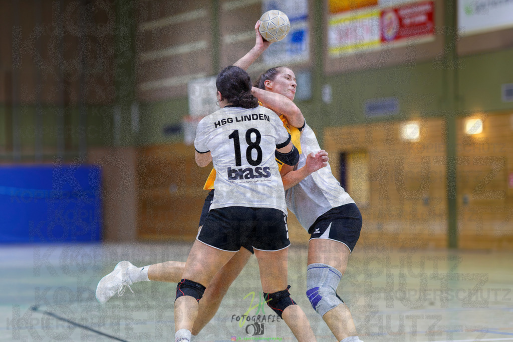 Frauen Oberliga Mitte (HHV); HSG Eibelshausen/Ewersbach - HSG Linden | Frauen Oberliga Mitte (HHV); HSG Eibelshausen/Ewersbach - HSG Linden am 15.11.2025 in Eibelshausen (Holderberghalle)Photo © 2025 - Jörg Heinrich - Realisiert mit Pictrs.com