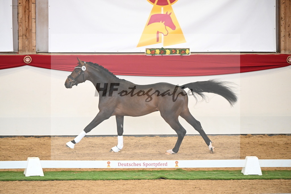 Kat.-Nr. 68 v. Fynch Hatton_Kampe_2250493 | hf-fotografie - Realisiert mit Pictrs.com