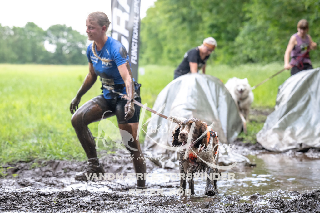 1225_ZZ92199 | kk-dogfotos