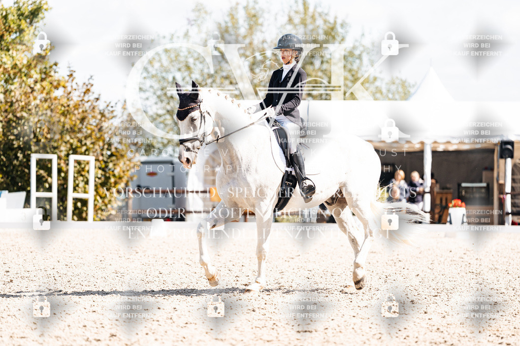 CK902916 | Turnierfotografie Pferdefotografie Trier Rheinland-Pfalz Pferdesport Reitsport Tierfotografie Sportfotografie Pferdevideo Pferdevideografie Equestrianvideography equestrianphotography  - Realisiert mit Pictrs.com