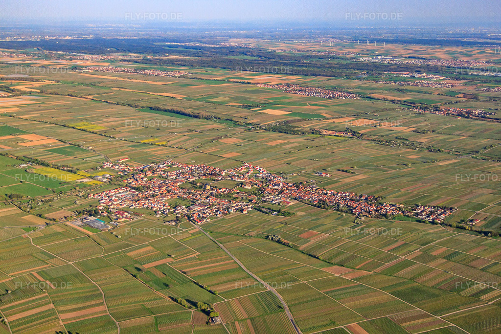 Luftbild: Winzerort zwischen Wingert von Nordwesten in Edesheim im Bundesland Rheinland-Pfalz in Deutschland. Foto: IMG_56678.jpg vom 25.04.2013 durch Werner Riehm/FLY-FOTO.de