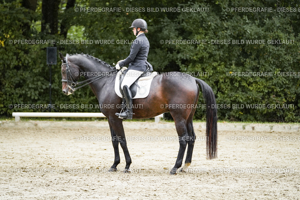 DSC00402 | Pferdegrafie