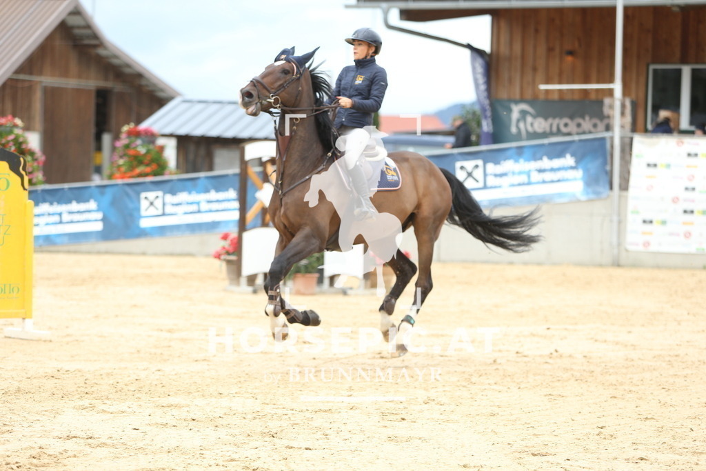 DL2Q5223 | Willkommen bei Brunnmayr - Design & Fotografie – Ihrem Spezialisten für Reitturniere und Pferdeveranstaltungen in Oberösterreich, Salzburg und Bayern! Seit über 17 Jahren sind wir leidenschaftlich dabei.