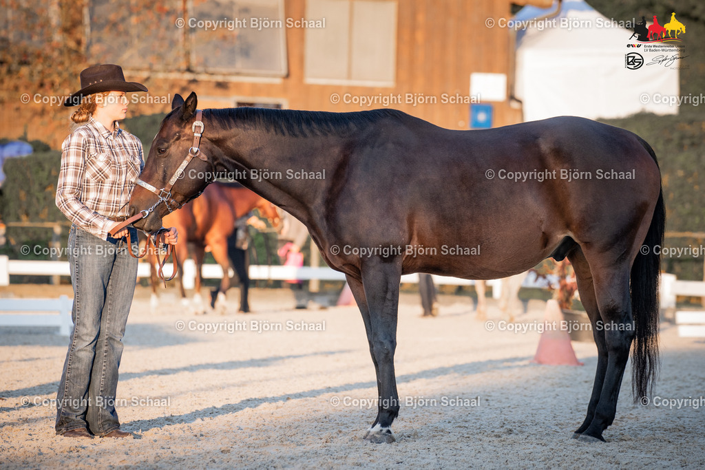KBB08616 | BS-foto