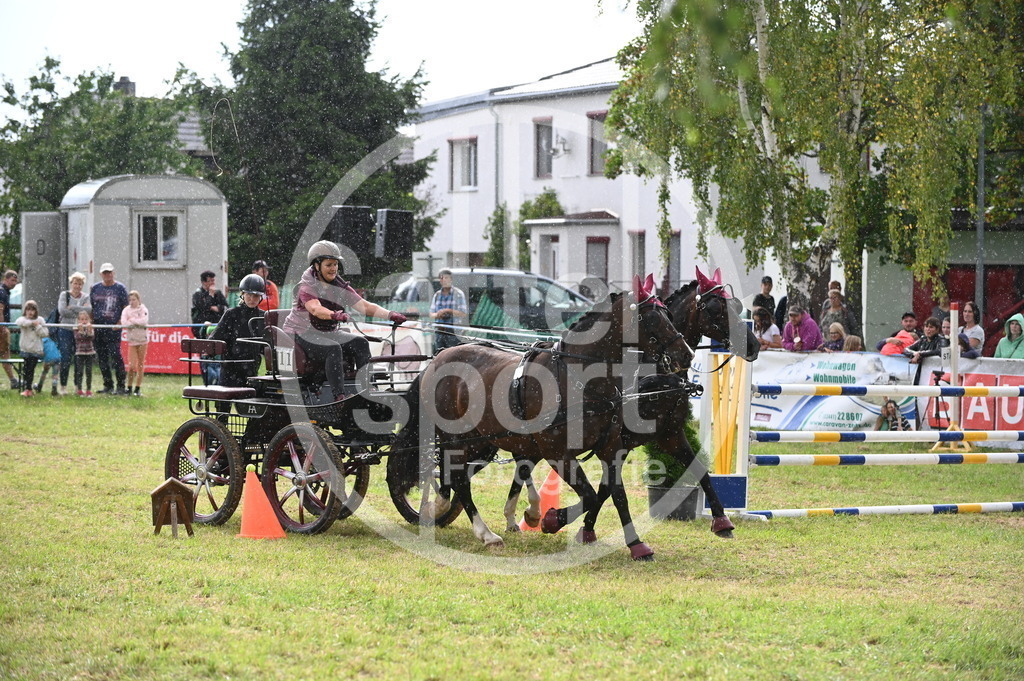 DSC_8750 | sattelsport - Realisiert mit Pictrs.com