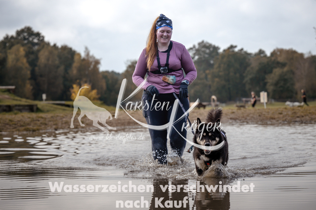 1339_ZZ94441 | kk-dogfotos