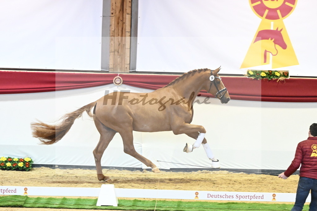 Kat.-Nr. 38 v. De Sandro_Schmid_2240412 | hf-fotografie - Realisiert mit Pictrs.com