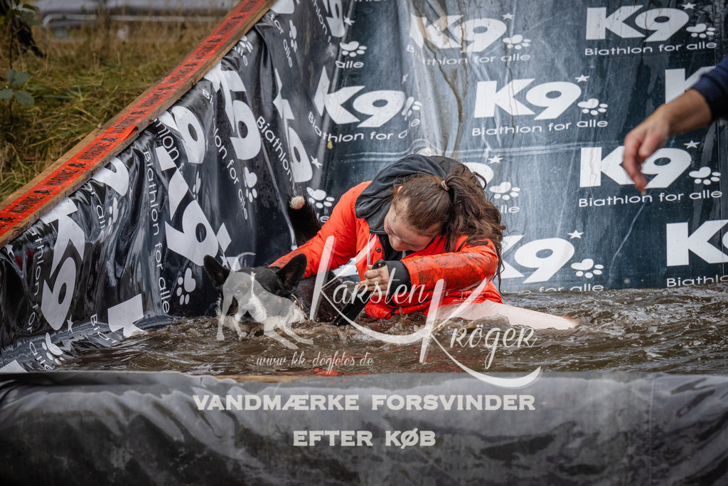 1212_ZZ94682 | kk-dogfotos