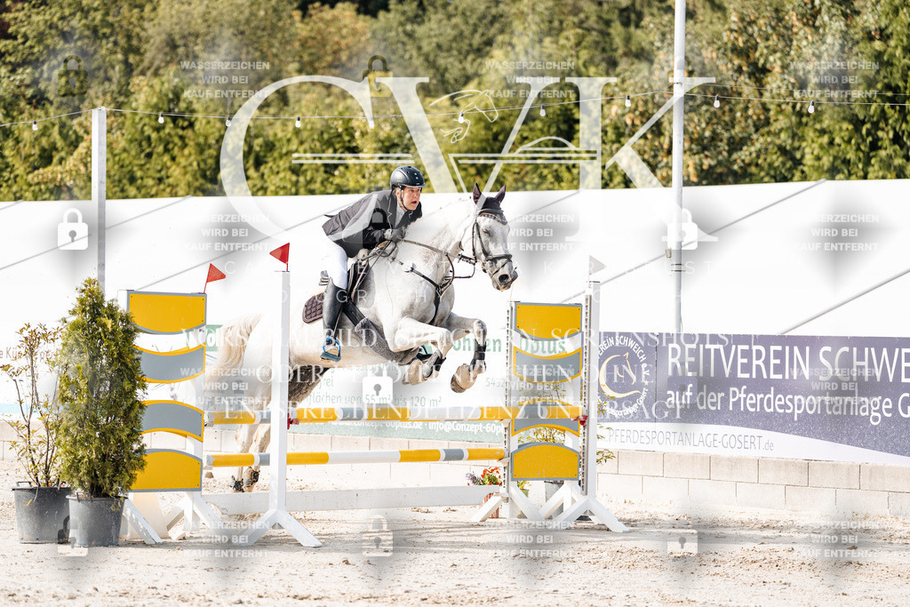 CK905563 | Turnierfotografie Pferdefotografie Trier Rheinland-Pfalz Pferdesport Reitsport Tierfotografie Sportfotografie Pferdevideo Pferdevideografie Equestrianvideography equestrianphotography  - Realisiert mit Pictrs.com