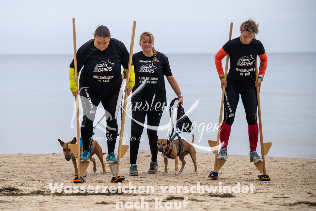 1257_ZZ93088 | kk-dogfotos