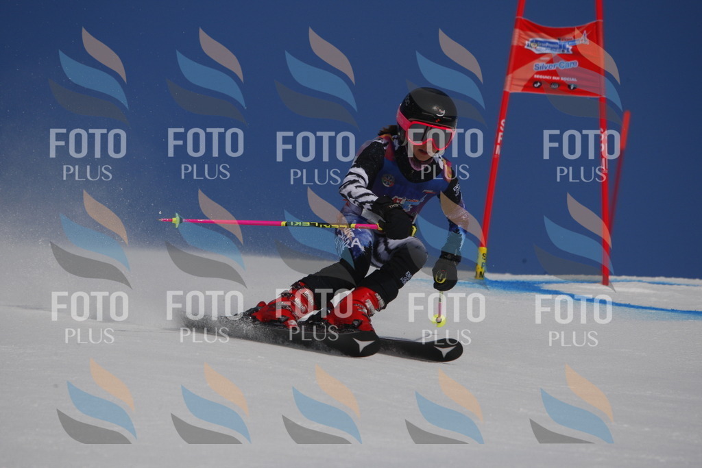 _W1G0277 | holidayphoto