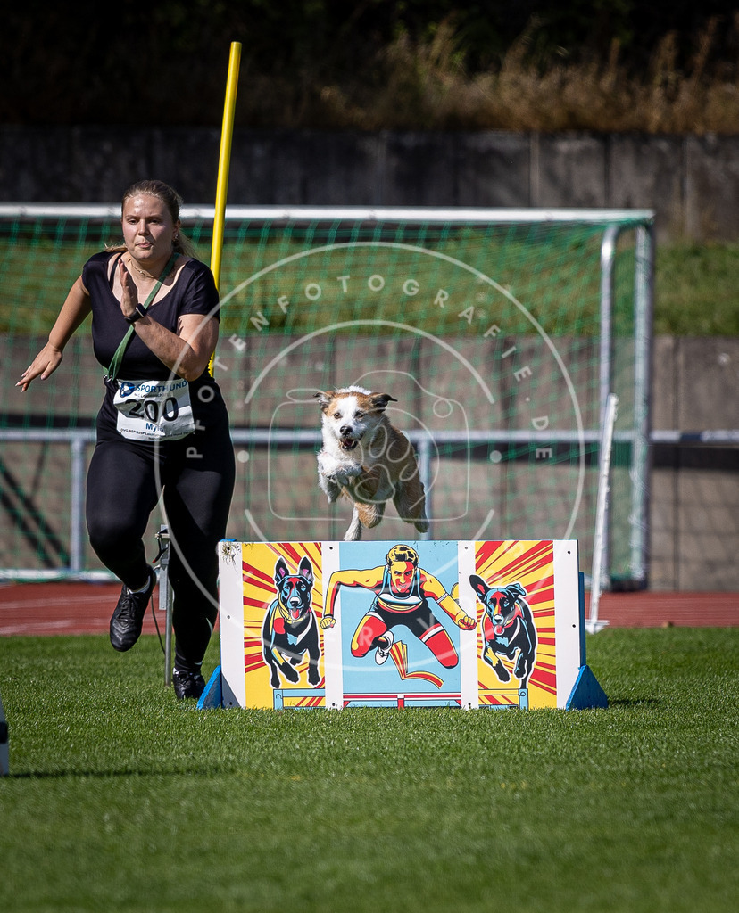 Pfotenfotografie_DV3A0922 | Hundefotografie, Tierfotograf, Pfotenfotografie, Fotoshooting Hund, Hunde Portrait, Hundesport, Hundeportraits, Heideshooting, Hunde, Sportfotograf, Hundefotograf, Turnierhundsport, THS,  - Realisiert mit Pictrs.com