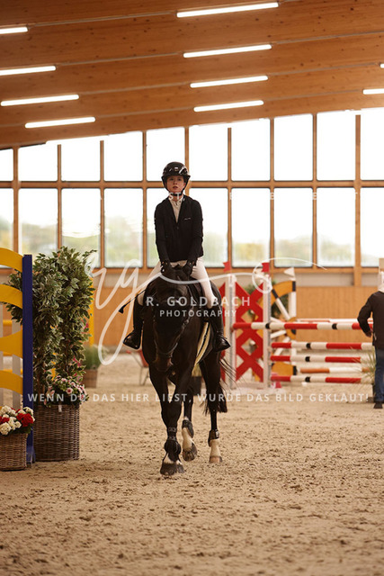 1J2A4037Leni Pell_ Emilie H_ Kn244_ Hohen Wieschendorf_ Glantz | Foto- und Videografie für alles rund ums Pferd. Hochwertige Bilder und Videos vom Spring- und Dressurreiten, Voltigieren & mehr. Jetzt aktuelle Veranstaltungen und Preise im Shop ansehen. - Realisiert mit Pictrs.com