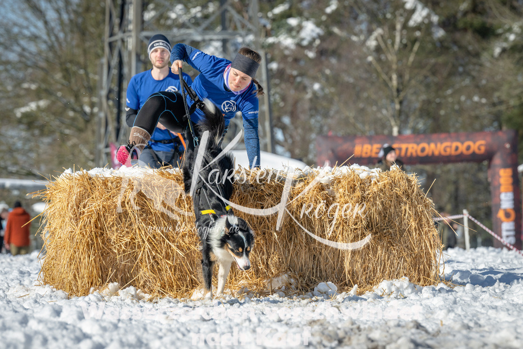 1105_ZZ94900-2 | kk-dogfotos
