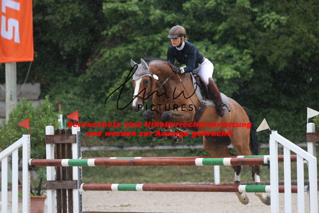 IMG_8301 | lmwpictures - Realisiert mit Pictrs.com