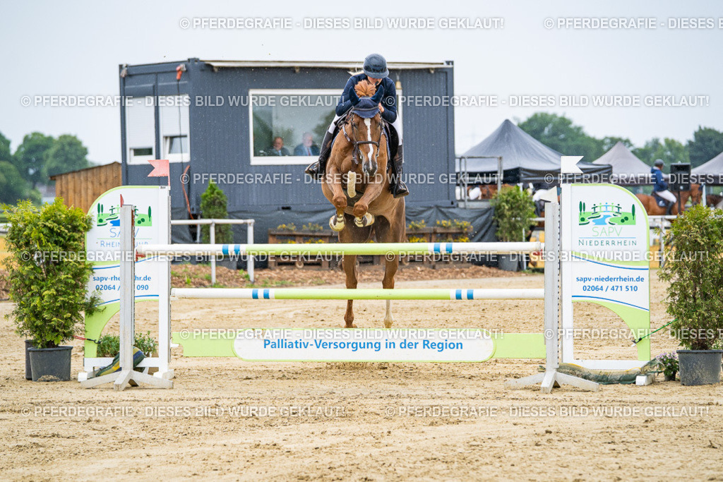 DSC07924 | Pferdegrafie