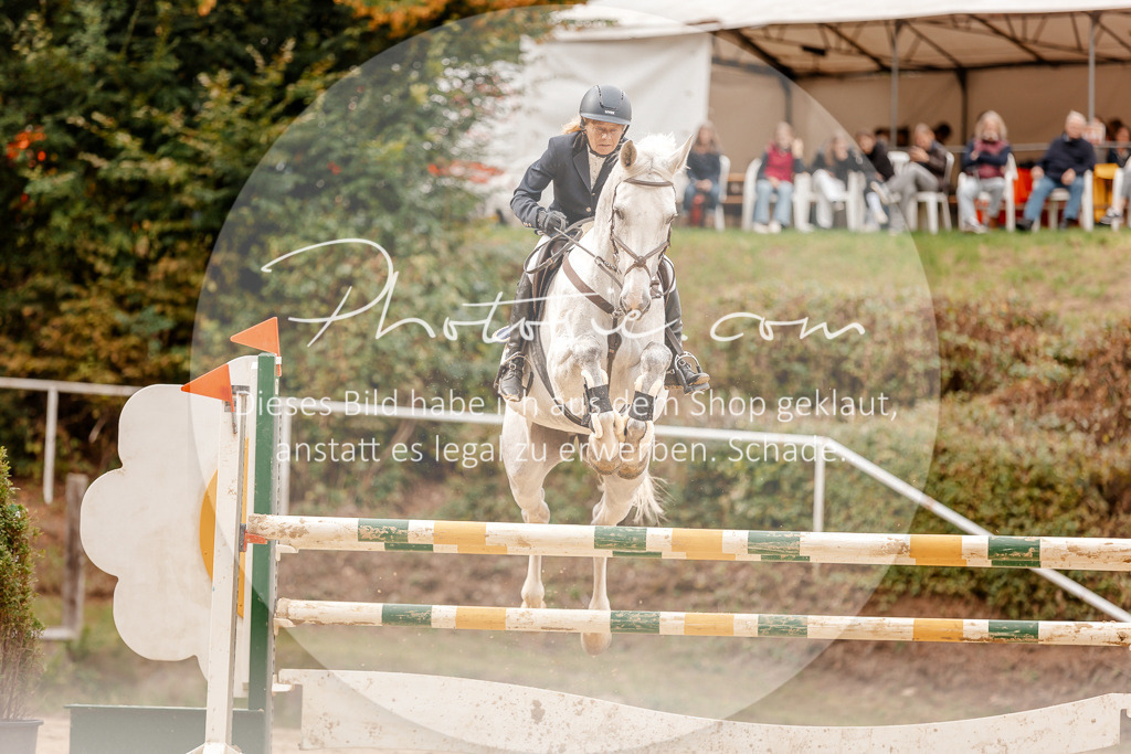 3I6A8094 | Stimmungsvolle Portraits und Reitsportfotografie im Ruhrgebiet und im Münsterland.

Pferdefotografie, Hundefotografie, Tierfotografie, Reportagen, Portraits von Tier und Mensch, Turnierfotografie in Bochum, Recklinghausen, Marl, Haltern am See, Dülmen.. - Realisiert mit Pictrs.com