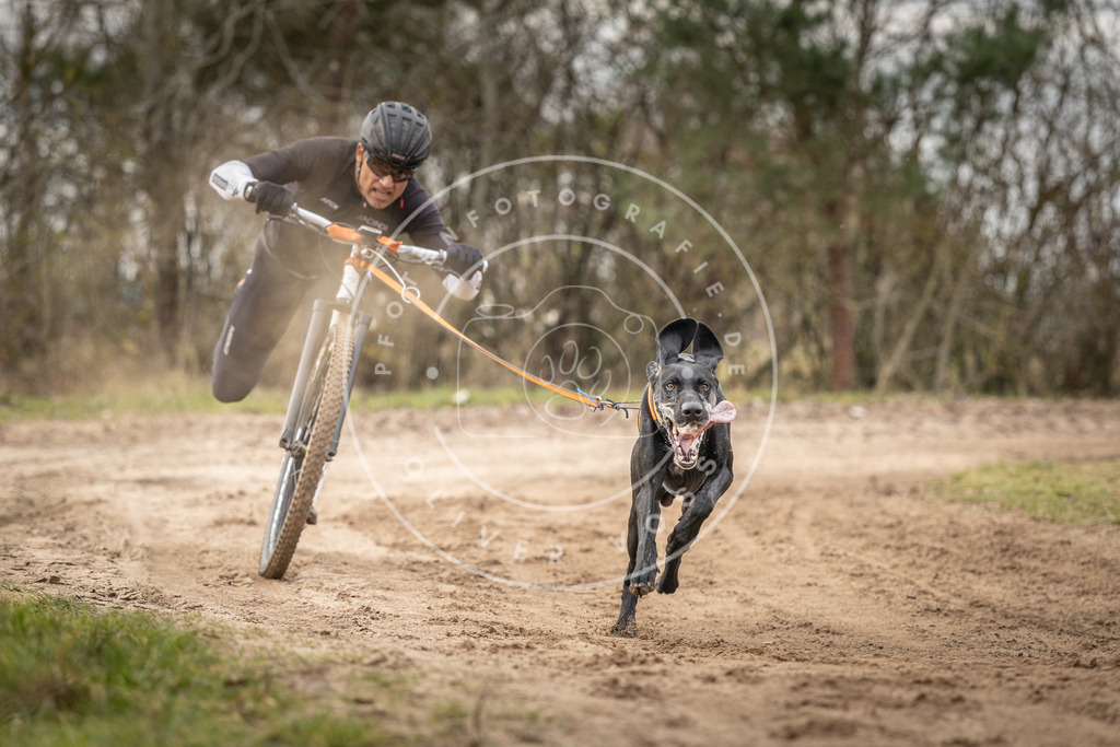Pfotenfotografie_DV3A9324 | Hundefotografie, Tierfotograf, Pfotenfotografie, Fotoshooting Hund, Hunde Portrait, Hundesport, Hundeportraits, Heideshooting, Hunde, Sportfotograf, Hundefotograf, Turnierhundsport, THS,  - Realisiert mit Pictrs.com