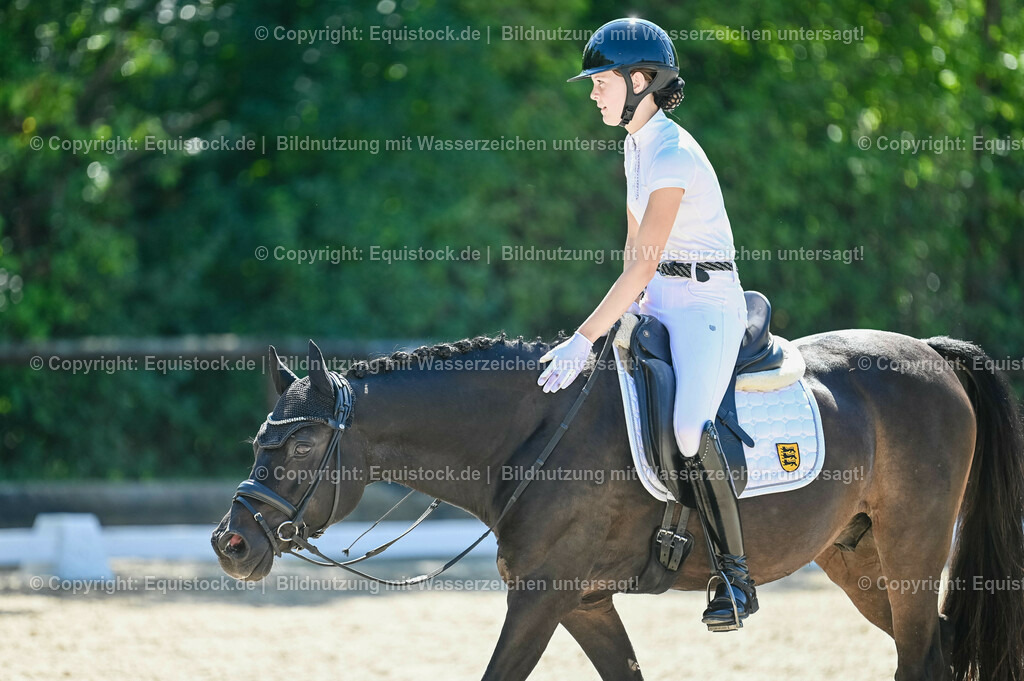 20230908_06_Dressur-L-Trense_0630 | equistock