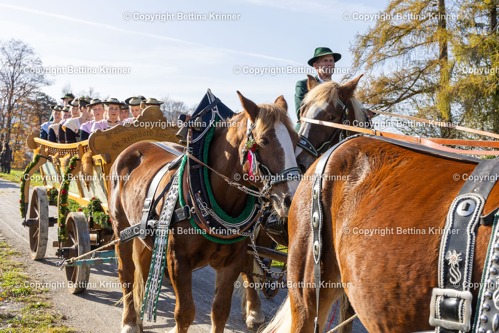 LBT24-1357 | foto-bettina-krinner - Realisiert mit Pictrs.com