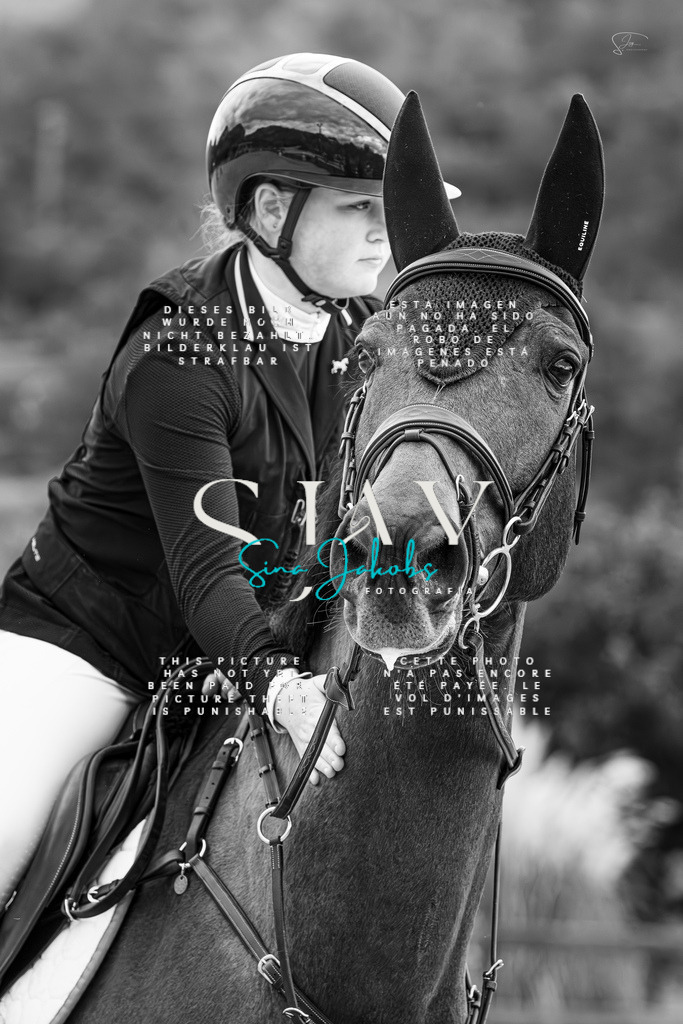 IMG_4988-Verbessert-RR | s-jay-photography - Realisiert mit Pictrs.com