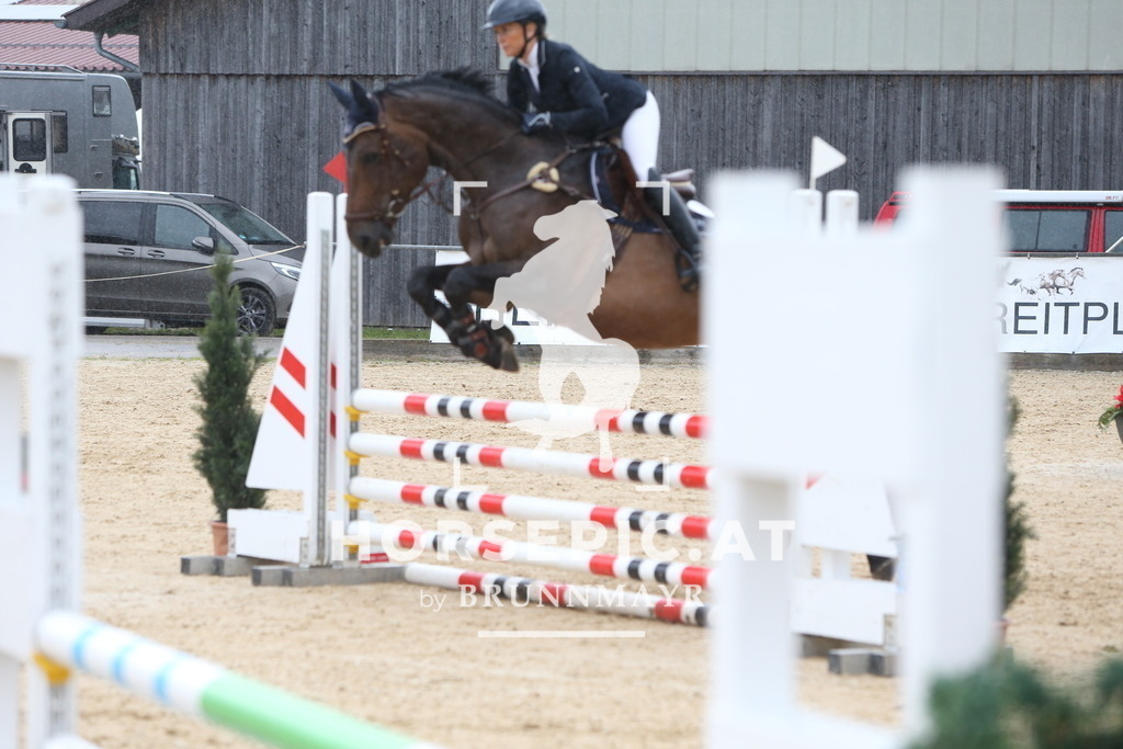 DL2Q0896 | Willkommen bei Brunnmayr - Design & Fotografie – Ihrem Spezialisten für Reitturniere und Pferdeveranstaltungen in Oberösterreich, Salzburg und Bayern! Seit über 17 Jahren sind wir leidenschaftlich dabei.