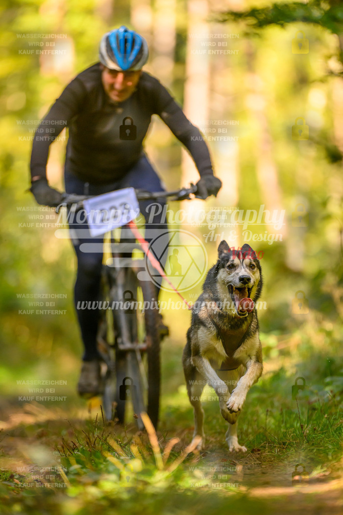 MompixPhotography_Yens2025_B3-16 | PayLife