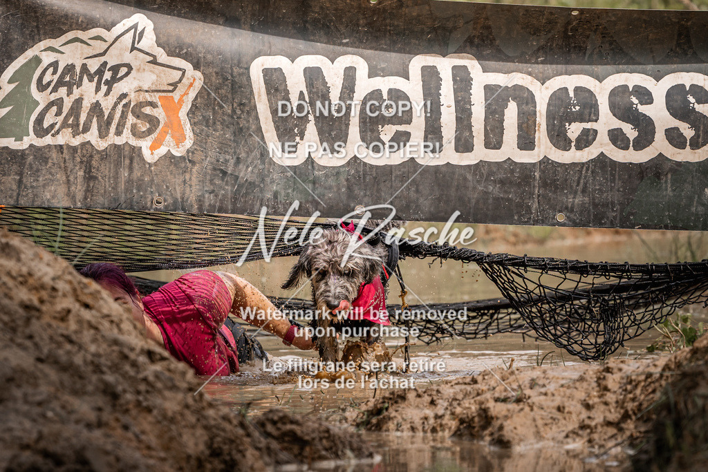 nelerasche_Hoope2026_Sa1030-1100_02 | nelerasche