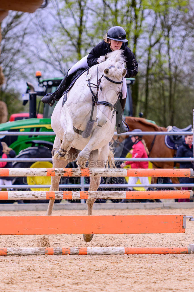 12042026-Mammendorf-Prfg39-0384 | Fokus Hufschlag Fotografie - Realisiert mit Pictrs.com