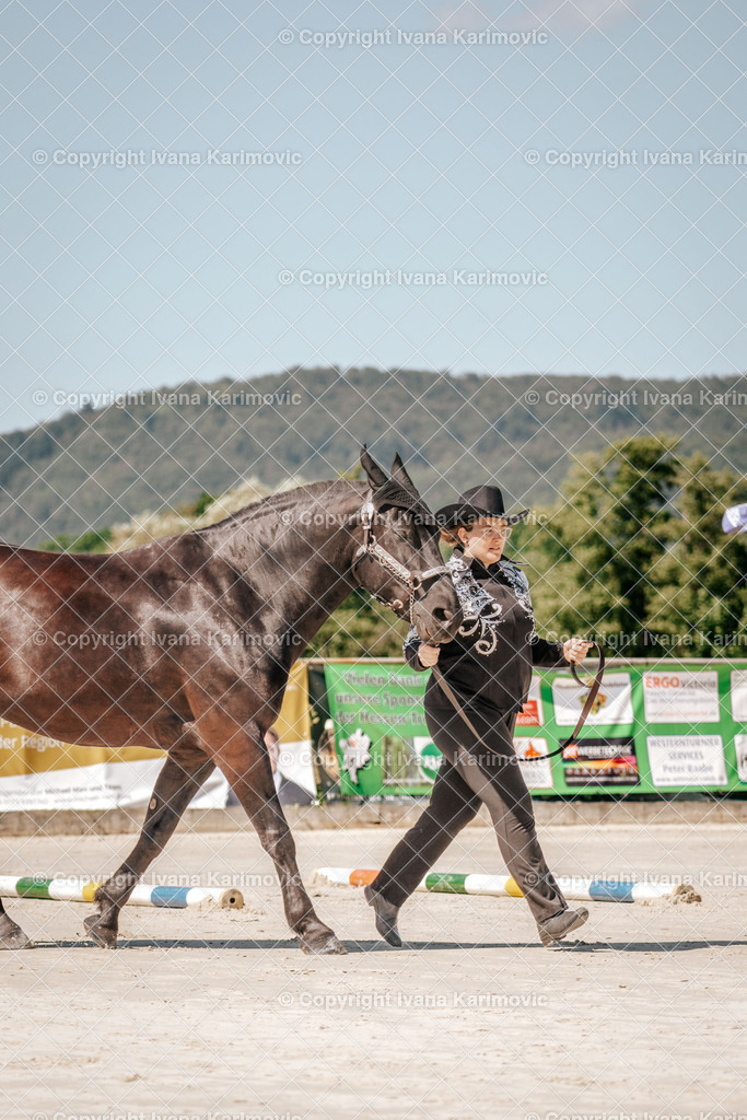 DSC07181 | ikphotography - Realisiert mit Pictrs.com