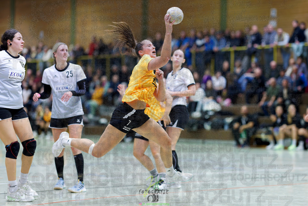Frauen Oberliga Mitte (HHV); HSG Eibelshausen/Ewersbach - HSG Linden | Frauen Oberliga Mitte (HHV); HSG Eibelshausen/Ewersbach - HSG Linden am 15.11.2025 in Eibelshausen (Holderberghalle)Photo © 2025 - Jörg Heinrich - Realisiert mit Pictrs.com