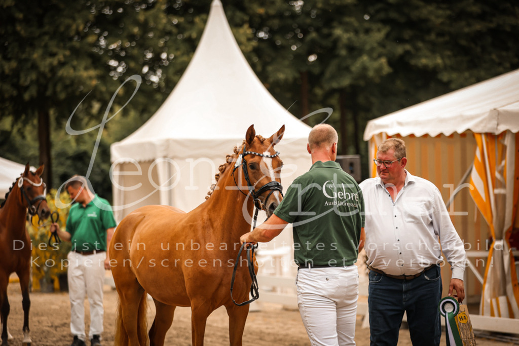 10.So00126 | Leoni Ertmer Photography - Realisiert mit Pictrs.com