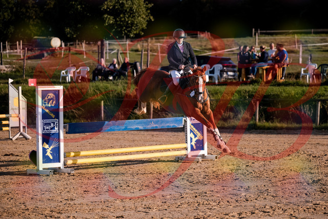 2026_10_03_Siefer-Hof_171751_Z81_15888528 | Professionelle Reitsport-, Turnier- und Eventfotografie von Robert Broda. Galerien mit ausgewählten und bearbeiteten Bildern direkt online ansehen und bestellen.