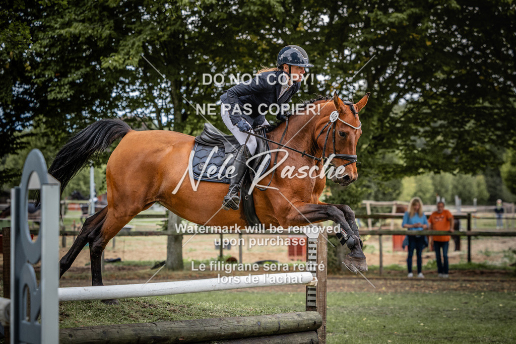 nelerasche_AmmDerbyEde_31 | nelerasche